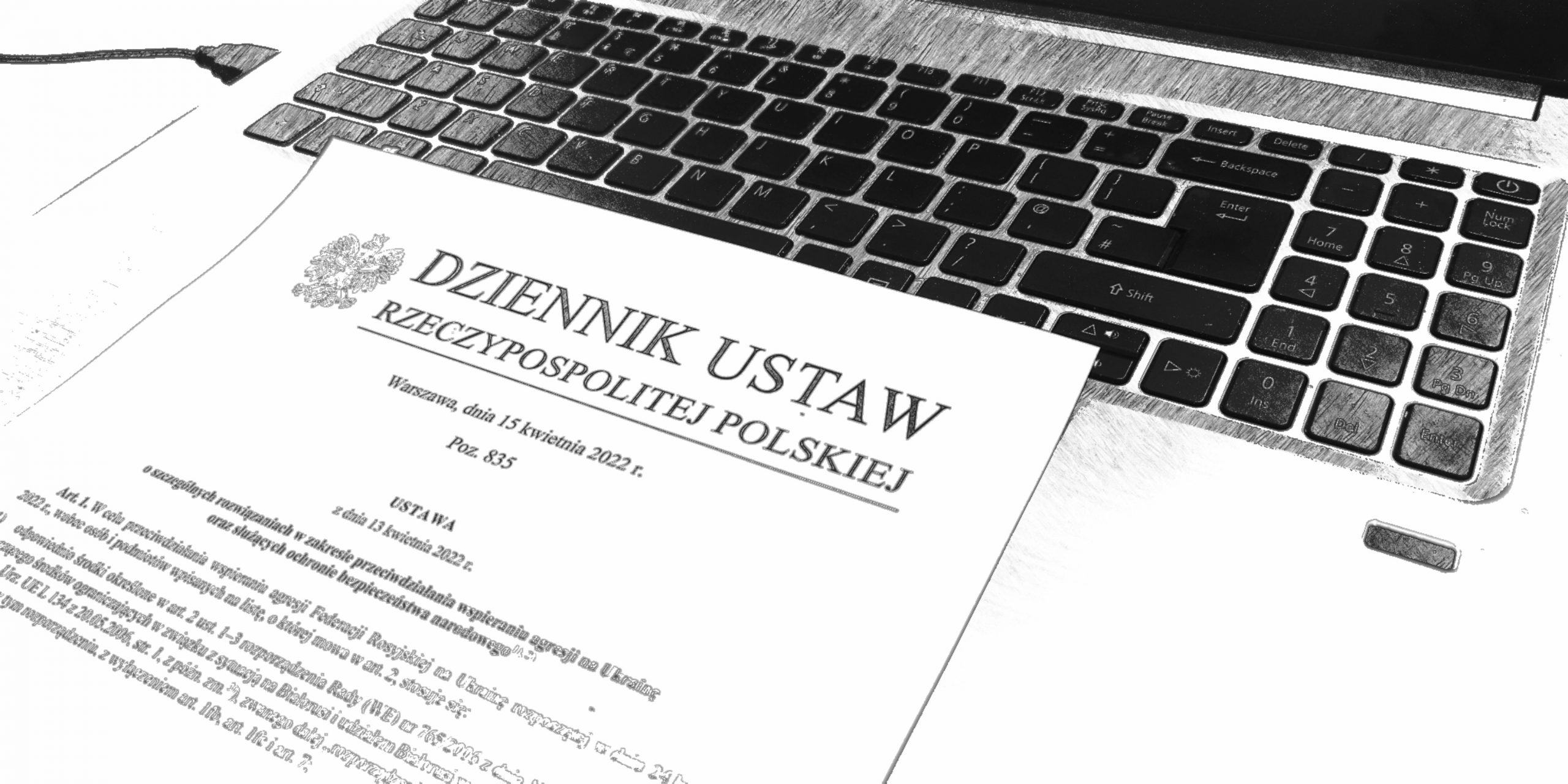 Ustawa polskie sankcje MSWiA
